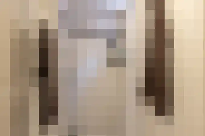 Bloementuinlaan 4 Vleuten thumbnail 45