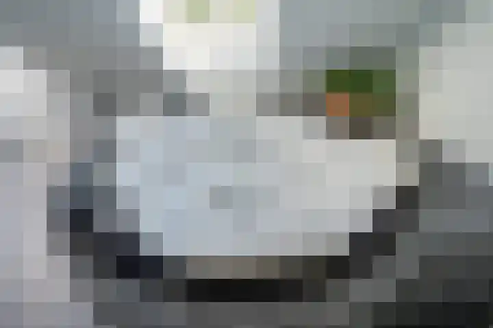 Bloementuinlaan 4 Vleuten thumbnail 51
