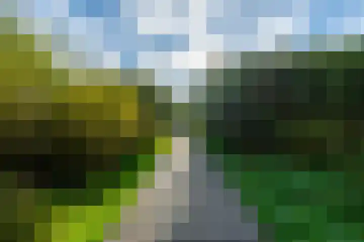 Bloementuinlaan 4 Vleuten thumbnail 57