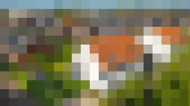 Bloementuinlaan 4 Vleuten thumbnail 6