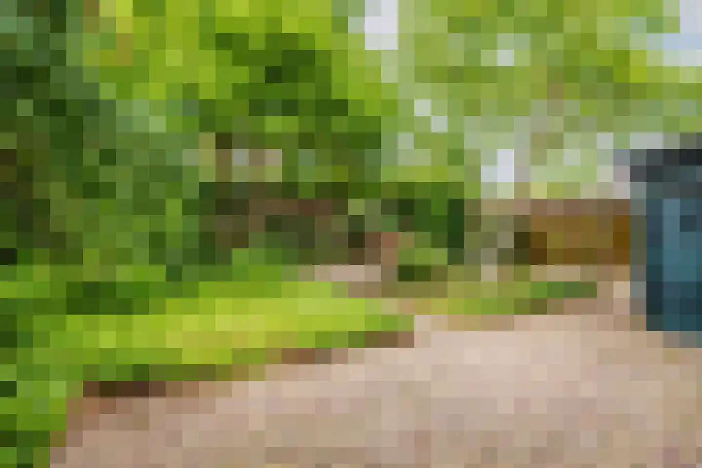 Bloemenweg 1 Gaanderen thumbnail 36