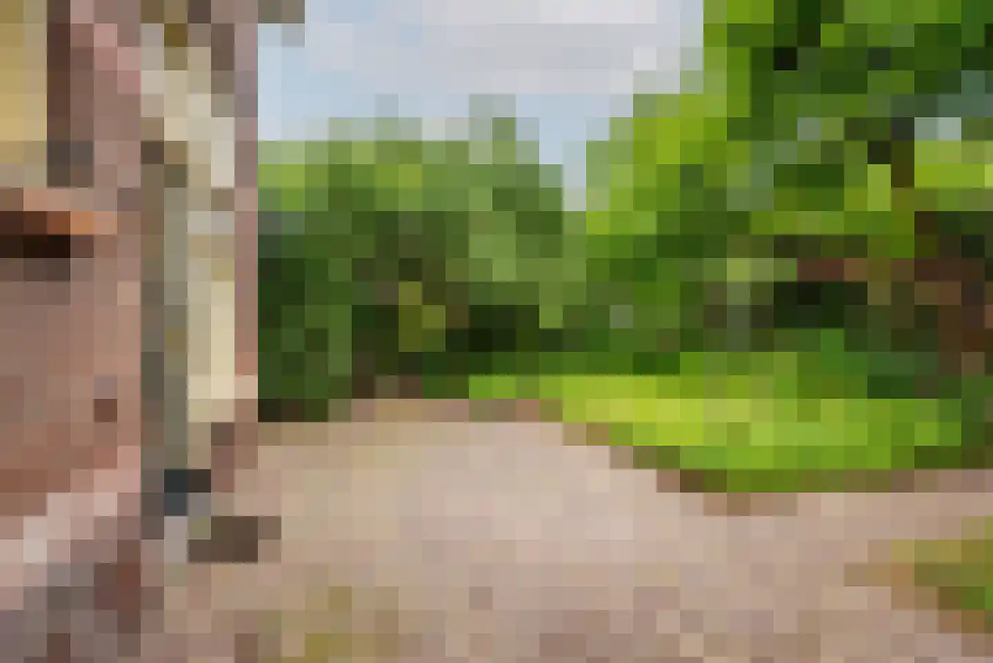 Bloemenweg 1 Gaanderen thumbnail 37