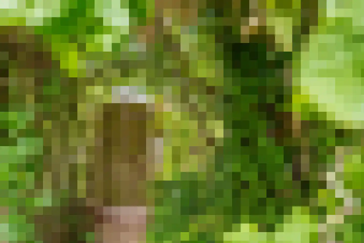 Bloemenweg 1 Gaanderen thumbnail 38