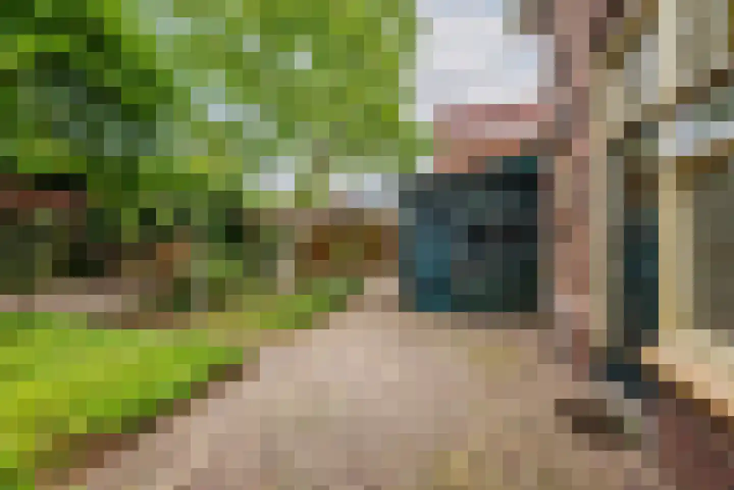 Bloemenweg 1 Gaanderen thumbnail 39