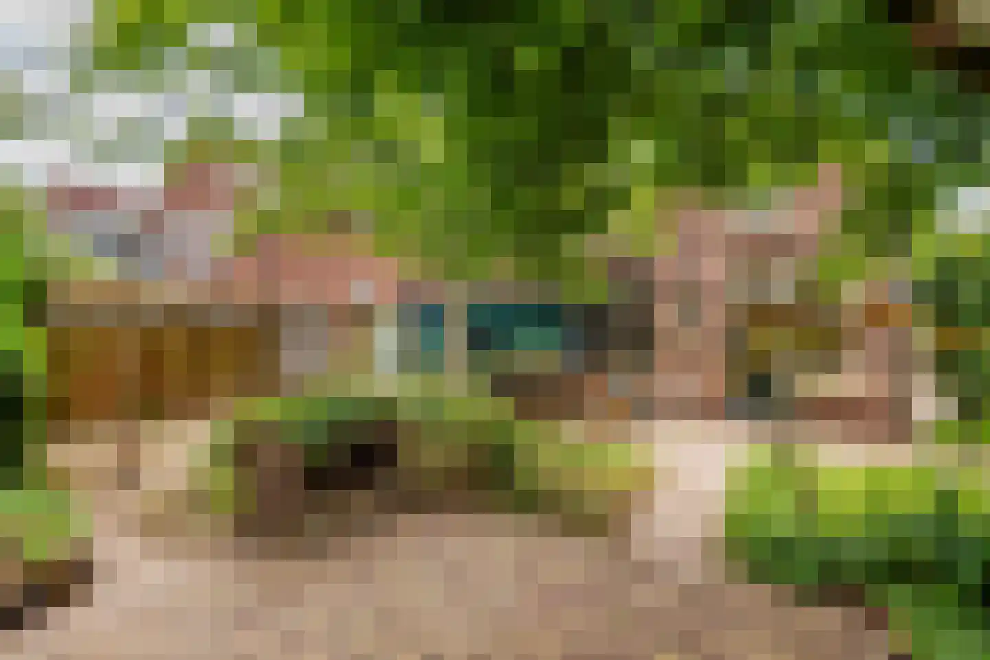 Bloemenweg 1 Gaanderen thumbnail 4
