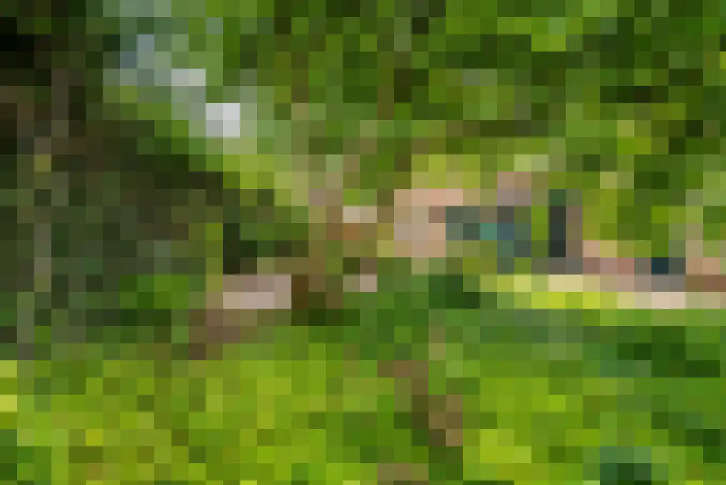 Bloemenweg 1 Gaanderen thumbnail 41