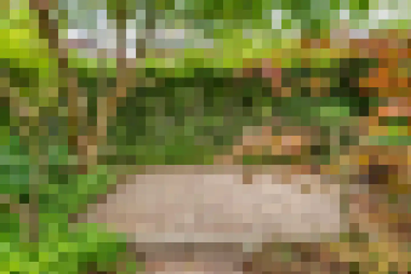 Bloemenweg 1 Gaanderen thumbnail 42