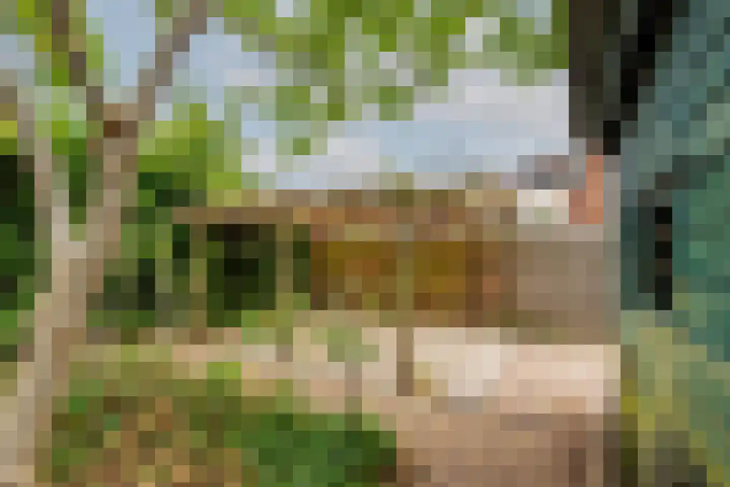 Bloemenweg 1 Gaanderen thumbnail 45