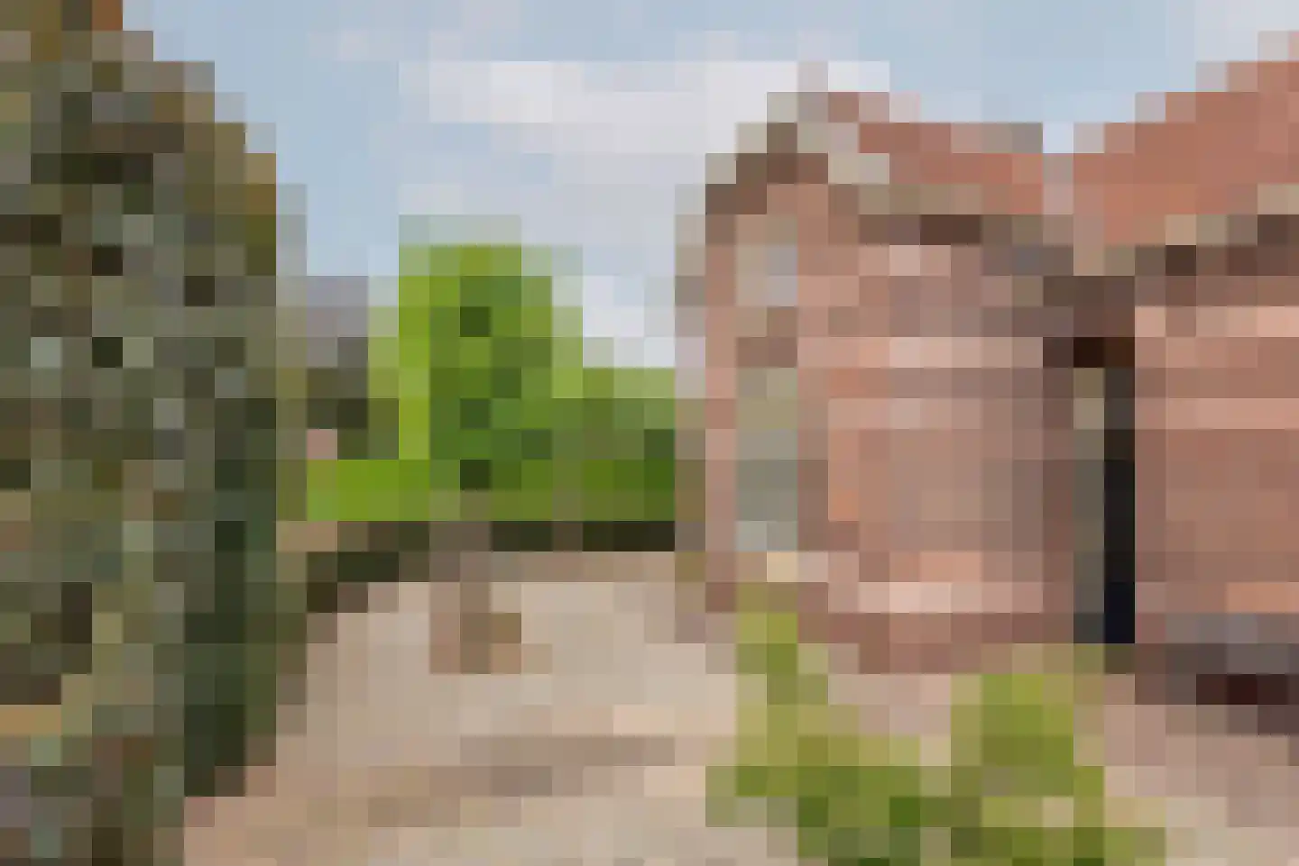 Bloemenweg 1 Gaanderen thumbnail 49