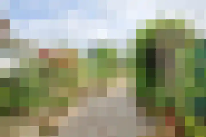 Bloemenweg 14 Sittard thumbnail 10