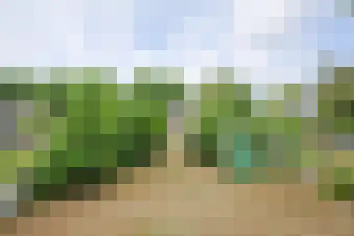 Bloemenweg 14 Sittard thumbnail 6