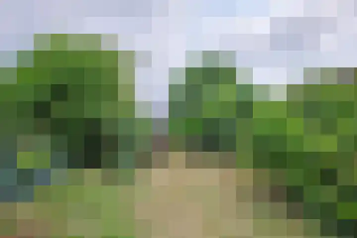 Bloemenweg 14 Sittard thumbnail 8