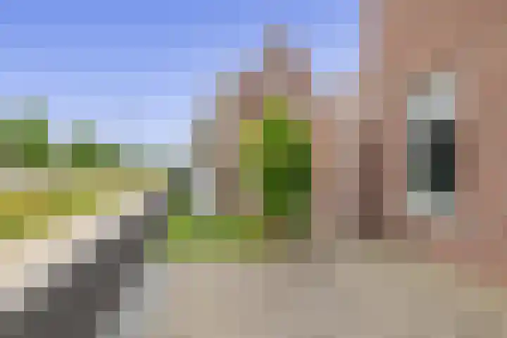 Bloemenweg 19 Dirksland thumbnail 36