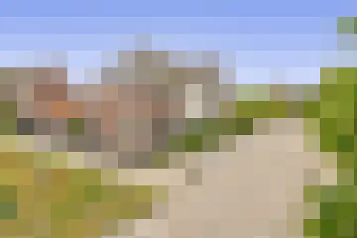 Bloemenweg 19 Dirksland thumbnail 4