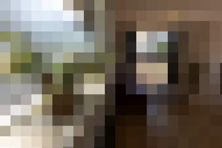 Bloemenweg 20 Gaanderen thumbnail 10