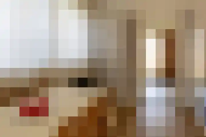 Bloemenweg 20 Gaanderen thumbnail 11