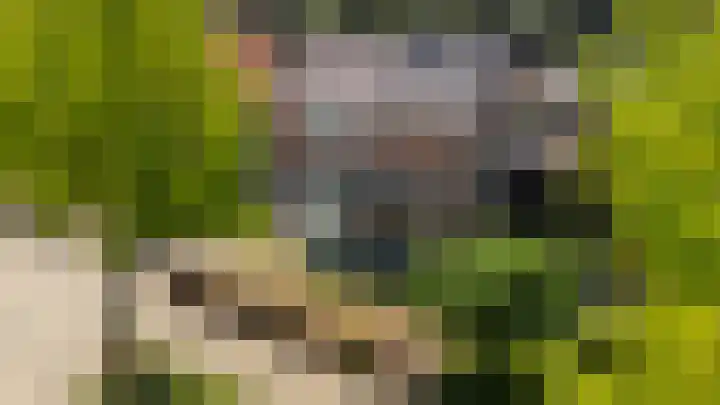 Bloemenweg 20 Gaanderen thumbnail 4