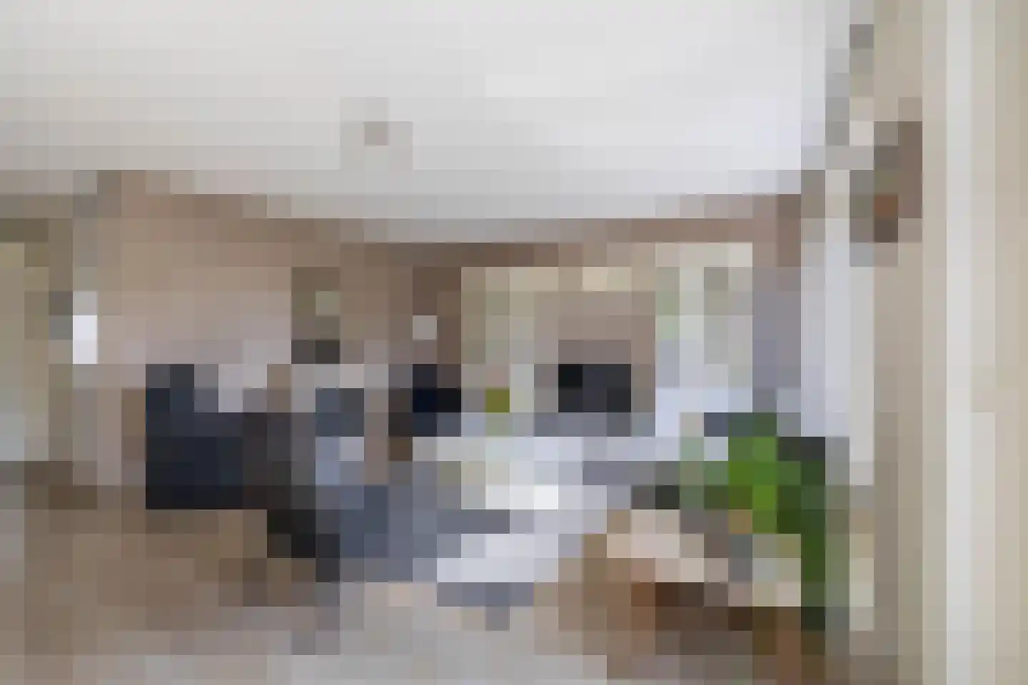 Bloemenweg 31 Dirksland thumbnail 10