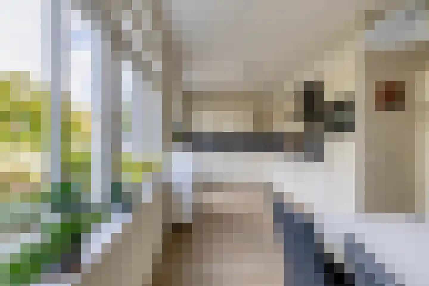 Bloemenweg 31 Dirksland thumbnail 16