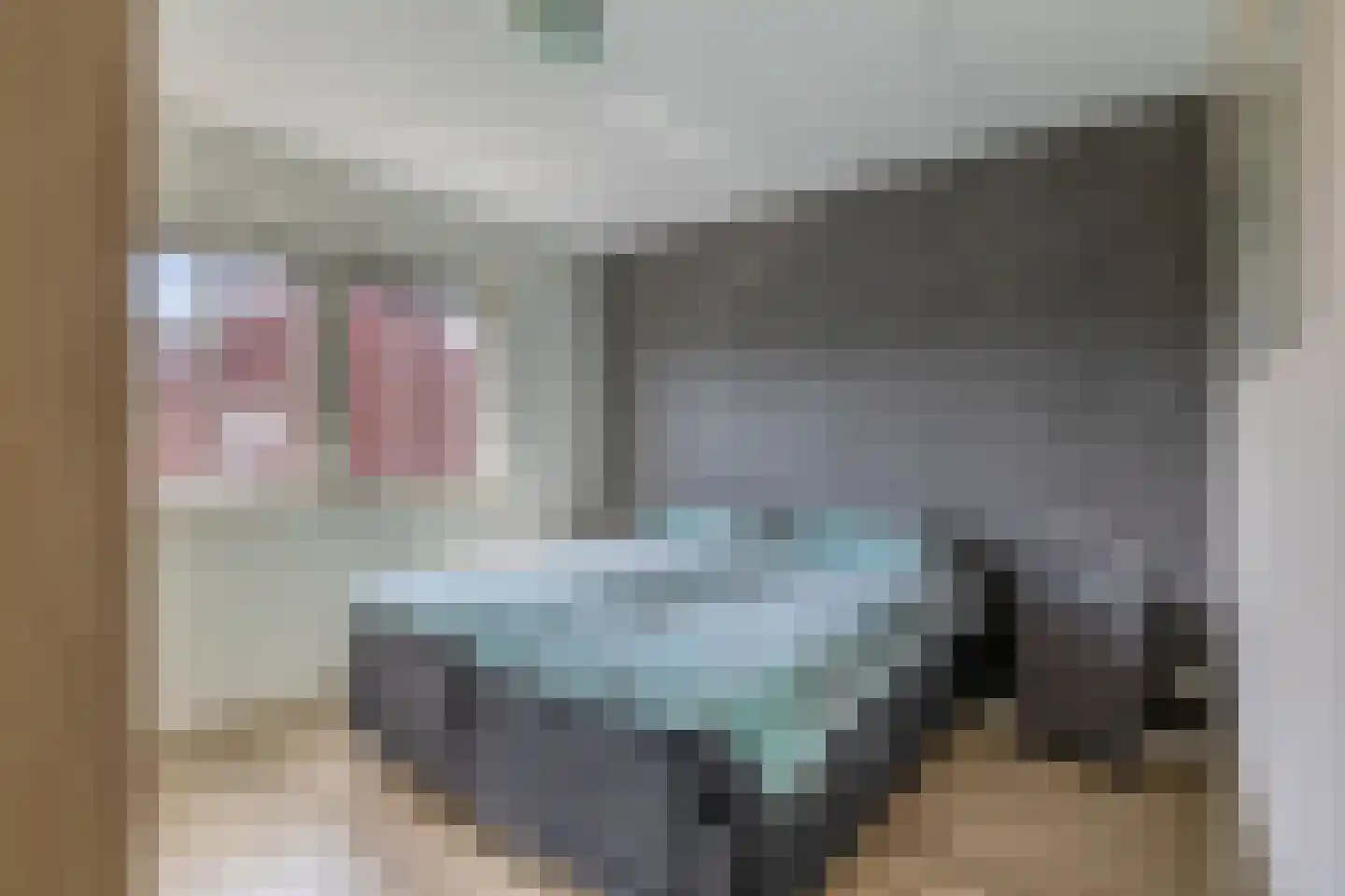 Bloemenweg 31 Dirksland thumbnail 33