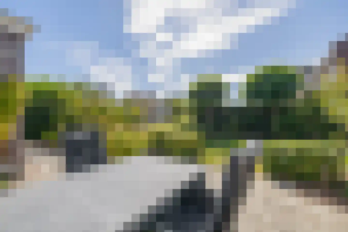 Bloemenweg 31 Dirksland thumbnail 60