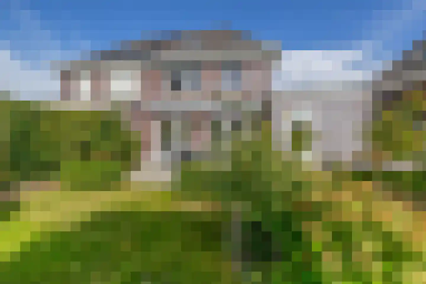 Bloemenweg 31 Dirksland thumbnail 63