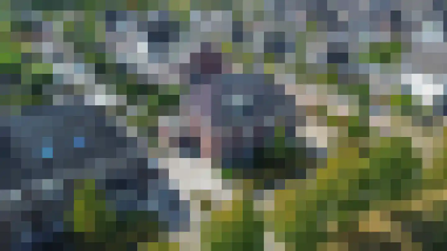 Bloemenweg 31 Dirksland thumbnail 72
