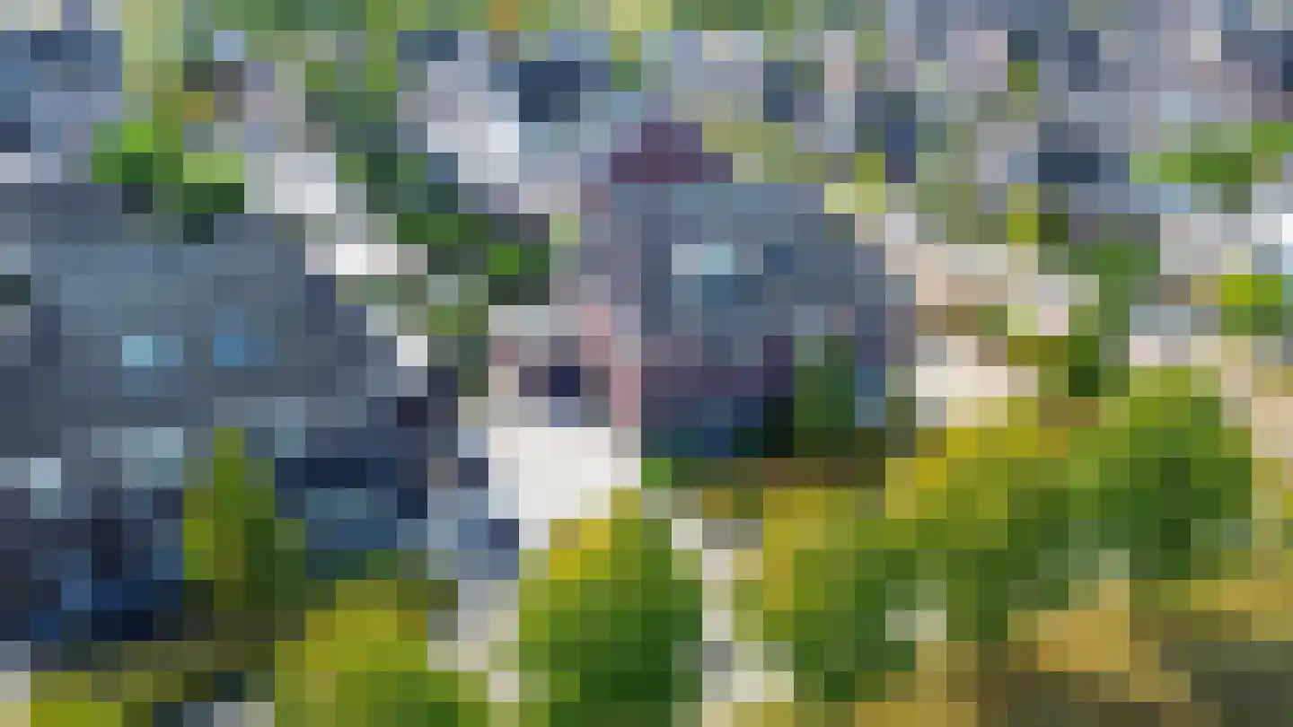 Bloemenweg 31 Dirksland thumbnail 75