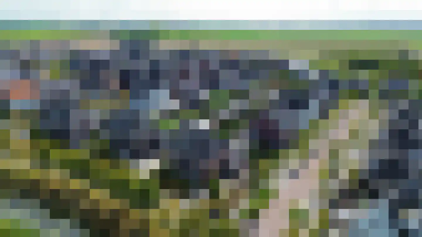 Bloemenweg 31 Dirksland thumbnail 76