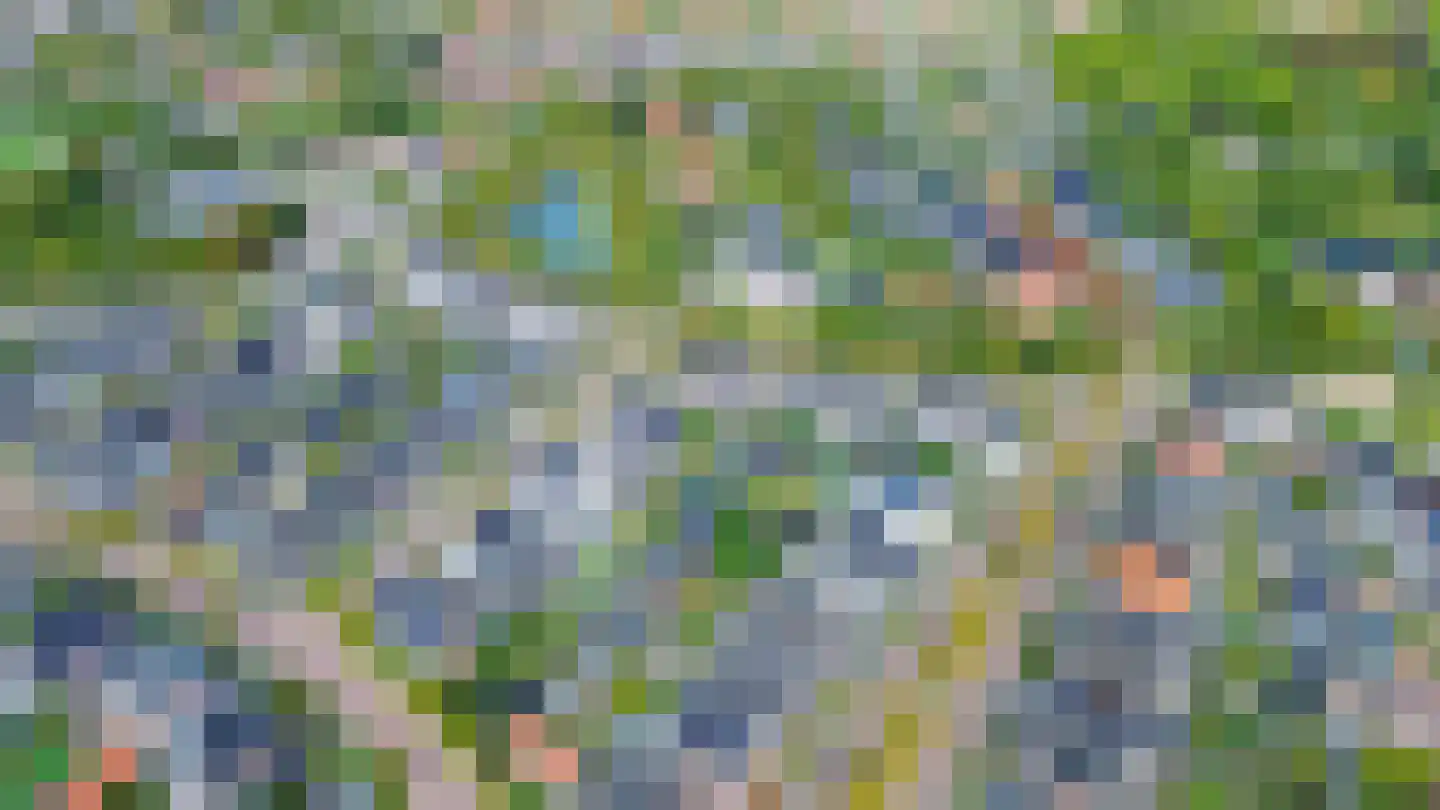 Bloemenweg 31 Dirksland thumbnail 77