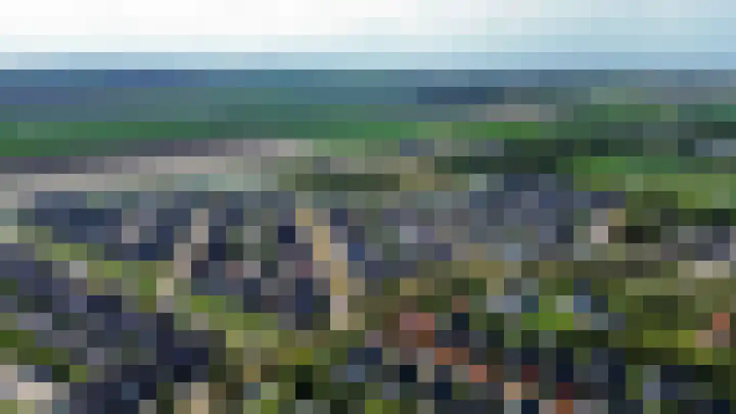 Bloemenweg 31 Dirksland thumbnail 78