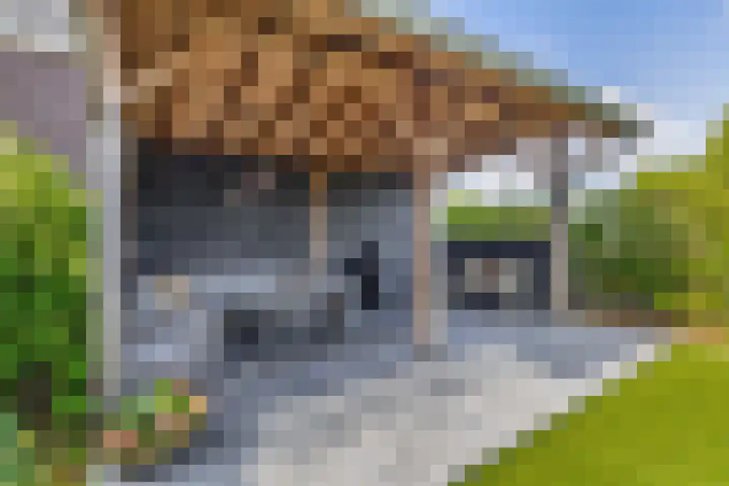 Bloemenweg 45 Dirksland thumbnail 32
