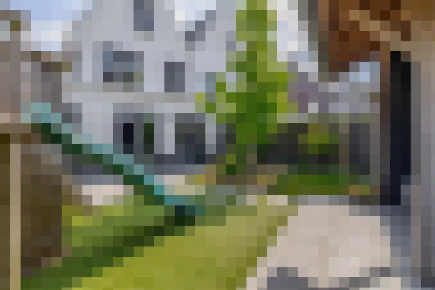 Bloemenweg 45 Dirksland thumbnail 35