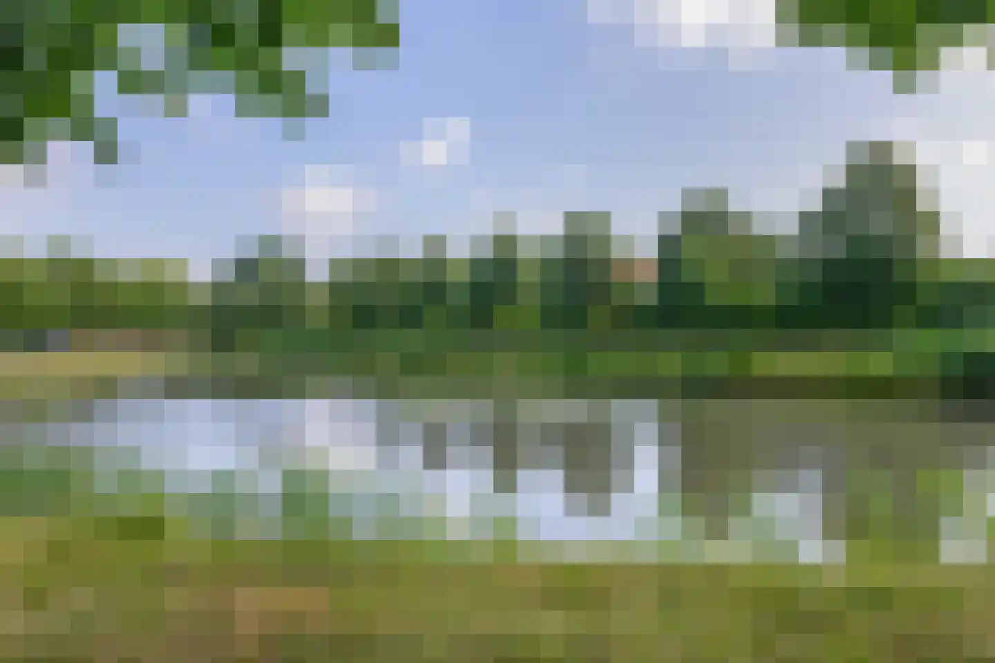 Bloemenweg 45 Dirksland thumbnail 52