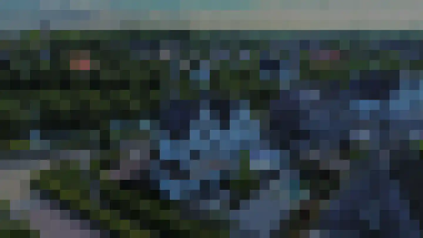 Bloemenweg 45 Dirksland thumbnail 55