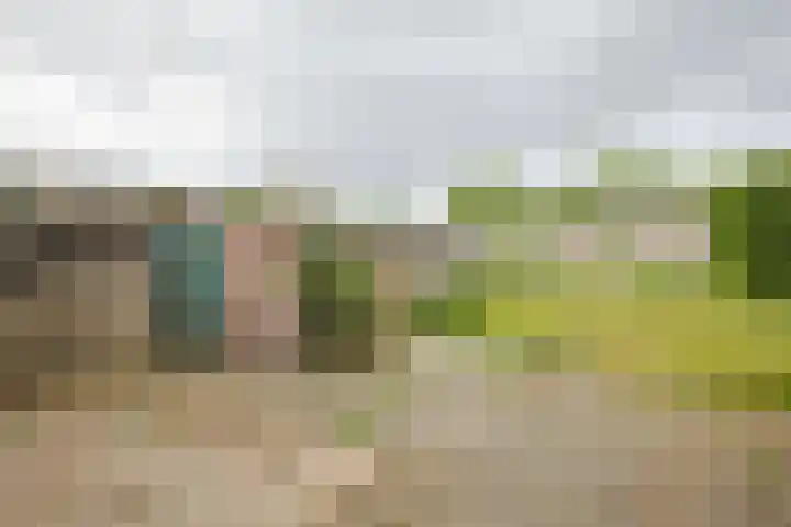 Bloemenweg 47 Sittard thumbnail 30
