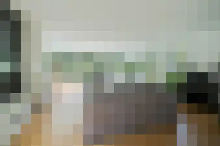 Bloemenzoom 127 Swifterbant thumbnail 12