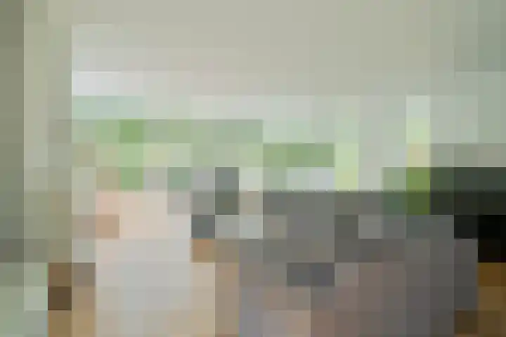 Bloemenzoom 127 Swifterbant thumbnail 13