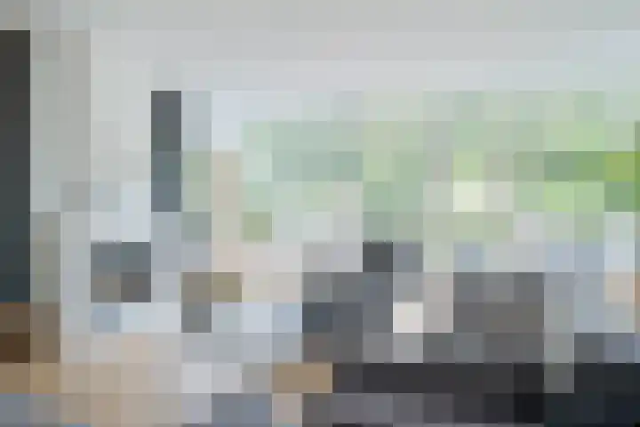Bloemenzoom 127 Swifterbant thumbnail 15