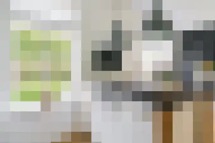 Bloemenzoom 127 Swifterbant thumbnail 21