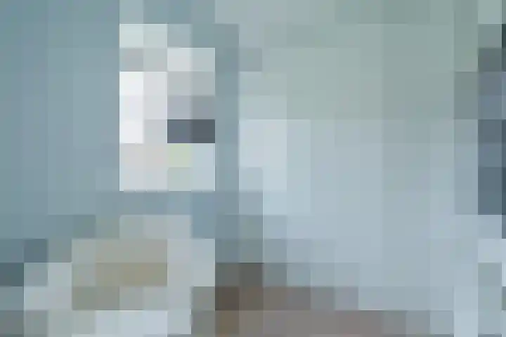 Bloemenzoom 127 Swifterbant thumbnail 33