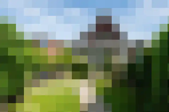 Bloemenzoom 127 Swifterbant thumbnail 34