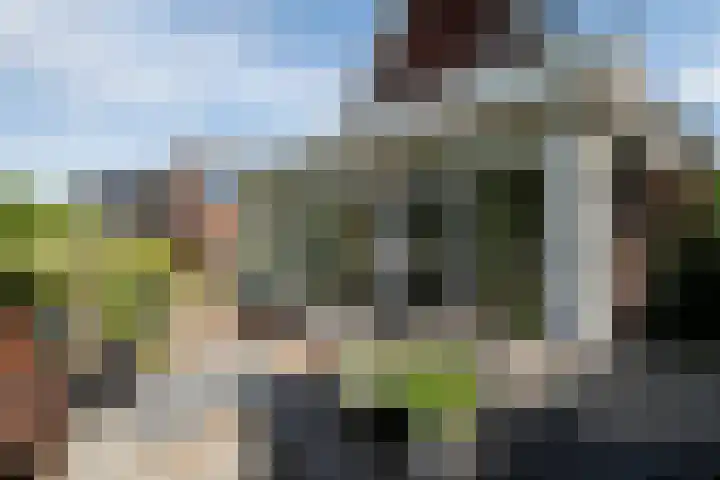 Bloemenzoom 127 Swifterbant thumbnail 35