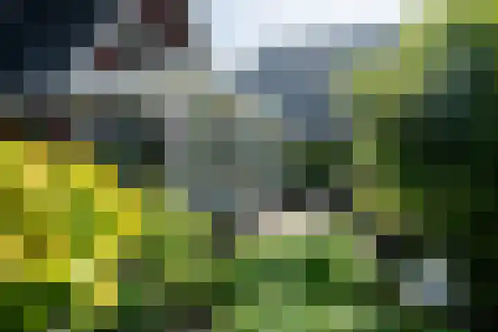 Bloemenzoom 127 Swifterbant thumbnail 37