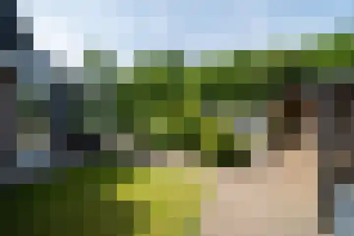 Bloemenzoom 127 Swifterbant thumbnail 38