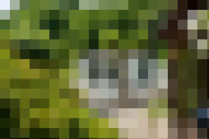 Bloemenzoom 127 Swifterbant thumbnail 39