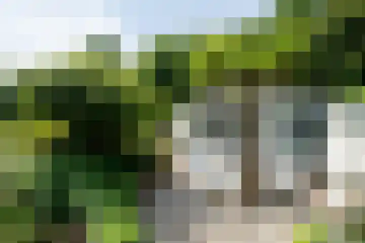 Bloemenzoom 127 Swifterbant thumbnail 40