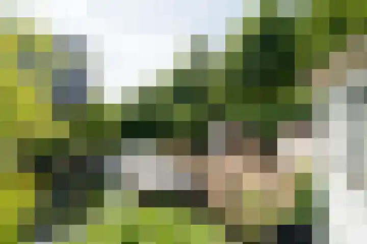 Bloemenzoom 127 Swifterbant thumbnail 41