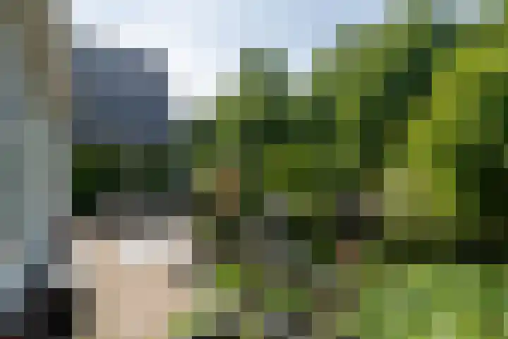 Bloemenzoom 127 Swifterbant thumbnail 42