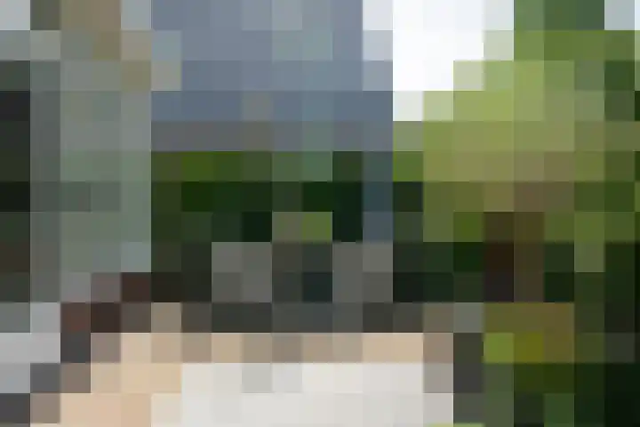 Bloemenzoom 127 Swifterbant thumbnail 43